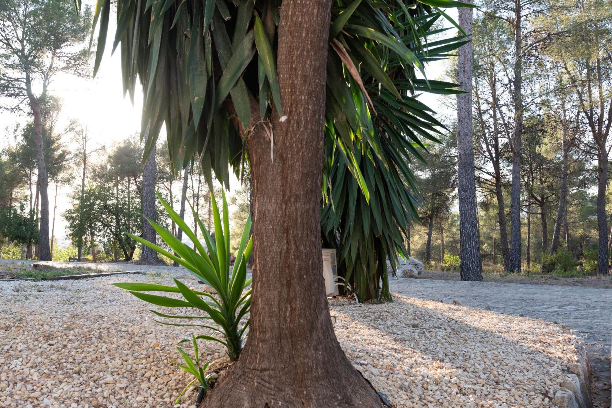 Casa Natura Villa Agullent Exterior photo